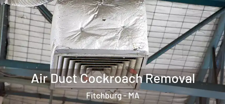 Air Duct Cockroach Removal Fitchburg - MA