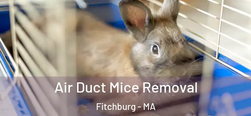 Air Duct Mice Removal Fitchburg - MA