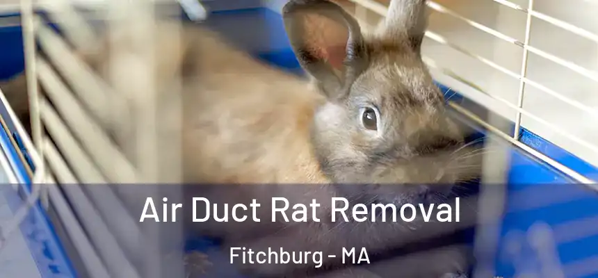 Air Duct Rat Removal Fitchburg - MA