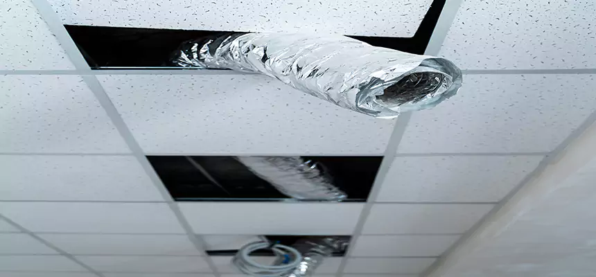 Our Air Duct Pet Hair Removal Services in Fitchburg, MA