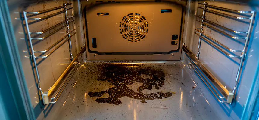 Our Dryer Vent Mold Cleaning Services in Fitchburg, MA