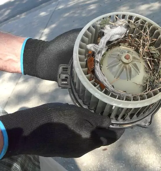 About Air Duct Rat Removal in Fitchburg, MA