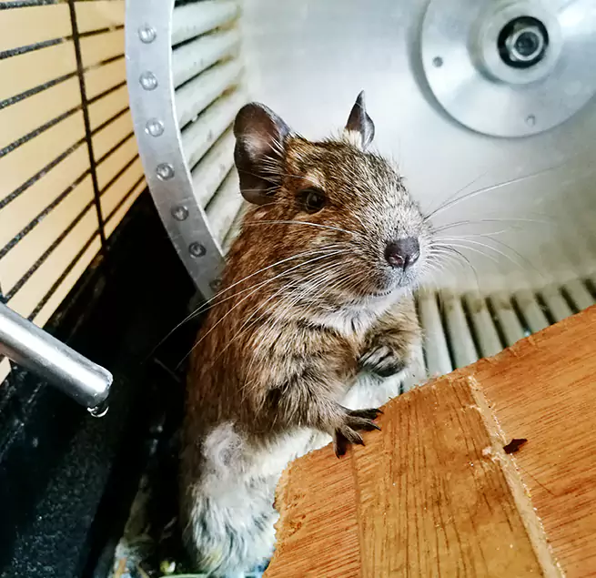 Why Homeowners & Businesses Trust Us Fitchburg, MA