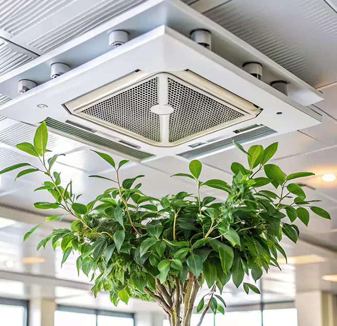 Why Homeowners & Businesses Trust Us in Fitchburg, MA